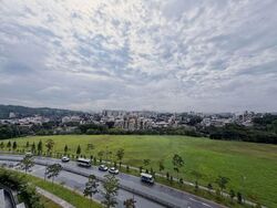 The Botany At Dairy Farm (D23), Condominium #566682291